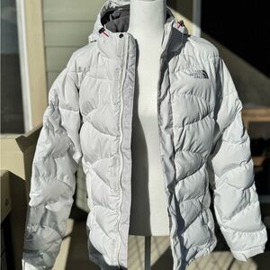 The North Face Women's Summit Series 700 Puffer Jacket with Hood